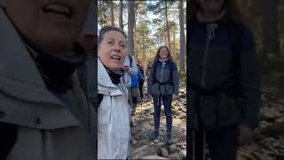 Excursión al Puerto de Canencia (Madrid) #senderismo