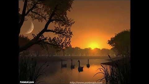 تلاوة خاشعة بصوت الشيخ ابوبكر مومني صلاة العشاء 12 رمضان 1438 هـ _ ما تيسر من سورة الأحزاب