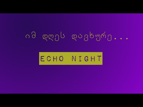 იმ დღეს დავხურე... Echo Night (PSX)