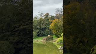 🇫🇷  🍂 巴黎秋日詩篇|蒙蘇里公園的金黃倒影一鏡到底  🍂 Autumn Poetry in Paris | One Take at Parc Montsouris