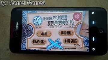 Flight Director - Review