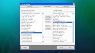 Astrology software to easily create your Printing Model with custom pages - Kundli Chakra 2012