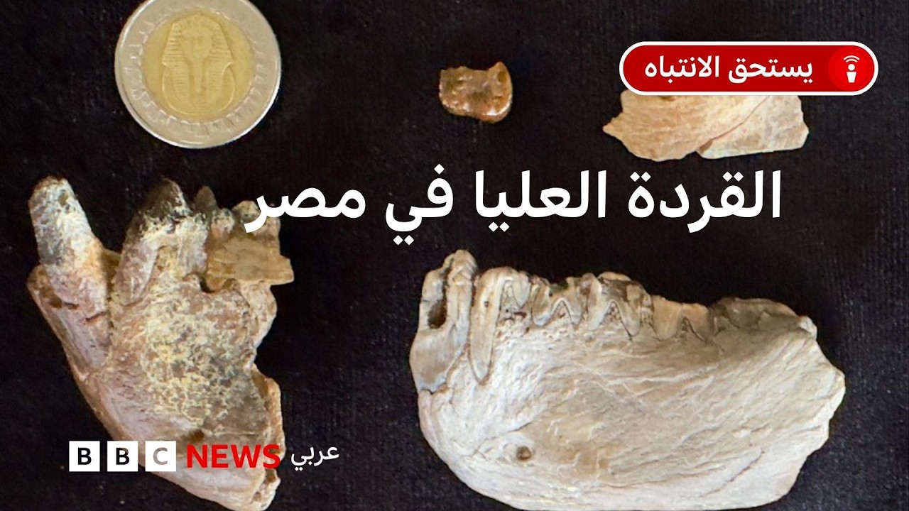 �� ��� ����� ������ ���� ���� ����� ���� ������ �����ǿ
 - نشر قبل 9 دقيقة