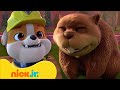 The Crew Builds a Beaver Home! 🦫 | Rubble &amp; Crew | Nick Jr. UK