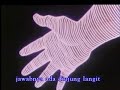 Dragon Ball Opening Indonesia Versi Indosiar With Lyric 