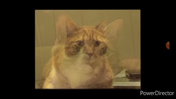 Shortest Video in YouTube (Parts 1-100) Might Confuse You