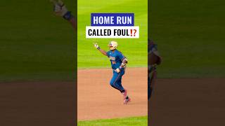 Foul ball foul call #baseball #bananaball #indianapolisclowns #homerun #foulball #sports