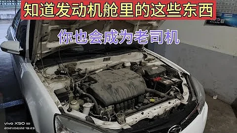 不知道發動機艙里的這些東西，都不算是老司機！【小韓修車】 - 天天要聞