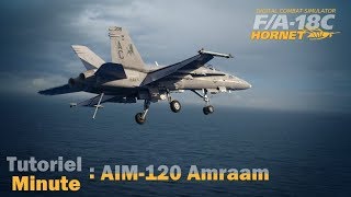 Tuto Minute F/A-18C: l'AIM-120 Amraam (version 2.5.2.20601, 15/08/18)