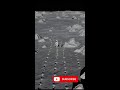 how many time human went to moon/apollo17