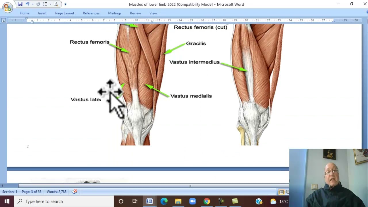 Musculo-skeletal Module ,Anatomy of Lower Limb in Arabic 6 ( Muscles of front of thigh  ) , 2022