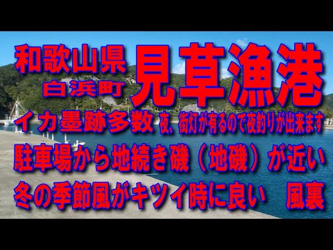 #48和歌山県見草漁港イカ墨跡多数冬の季節風がキツイ時に良い風裏漁港です五目で色々な魚が良く釣れる漁港街灯が有るので夜釣りが出来ます堤防ファミリー家族連れサビキ釣りに良アジング釣りポイント釣りスポット