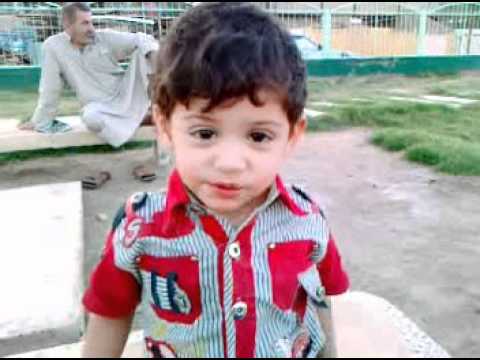 شمس الواعظين 3