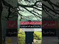 احترامي للناس لا يعني