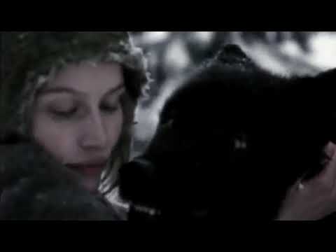 Within Temptation -