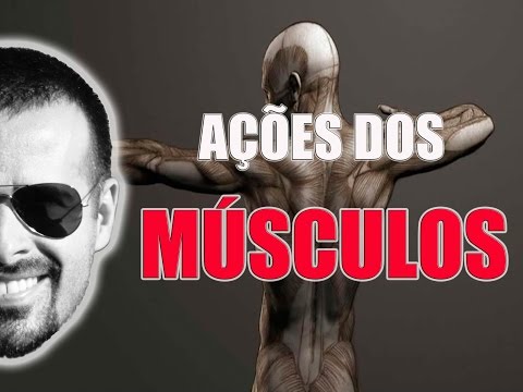 Vídeo: Músculos Paraspinais: Anatomia, Função, Diagrama E Exercícios