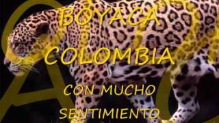 Video thumbnail of "QUIEN PERDERA -LOS DIABLITOS"
