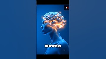 ChatGPT vs DeepSeek – Who Wins? #shorts #sciencefacts