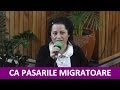 Ca pasarile migratoare - Mihaela David