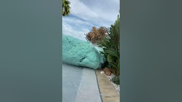 Insane Foam Explosion Experiment | Watch Massive Chemical Reaction | @SomanyMedia #shorts