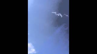 Model rocket payload system