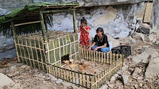 Poor single mom: Build a bamboo chicken coop, welcome the chicks to a new home, a new place to live