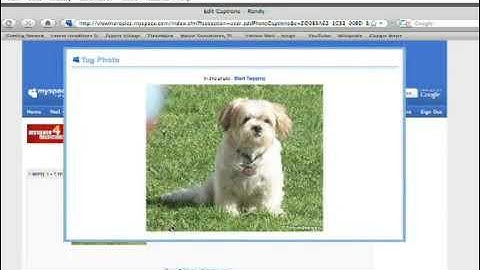 How to Upload a Photo to MySpace