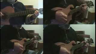 Canon in D (J.Pachelbel) cover mandolini chitarra suona nonnobru