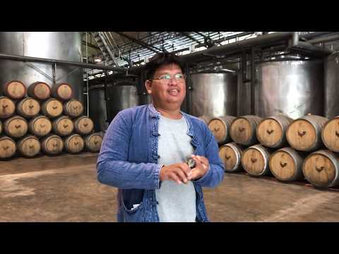 วีดีโอ: การผลิตไวน์: แนวทางศิลปะ