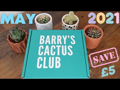 Video: Mammillaria Thumb Cactus: Lub Tswv Yim Rau Kev Loj Hlob Cacti