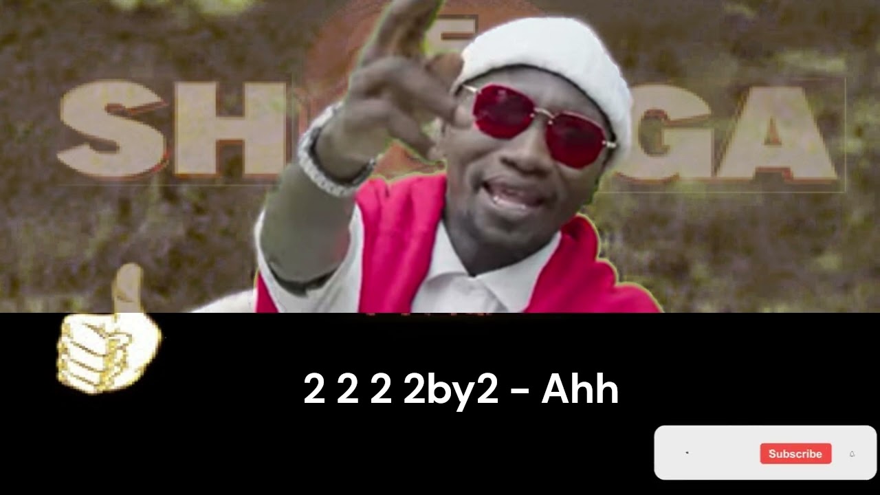 STEVO SIMPLE BOY - SHEGA Official Lyrics (WE SING)