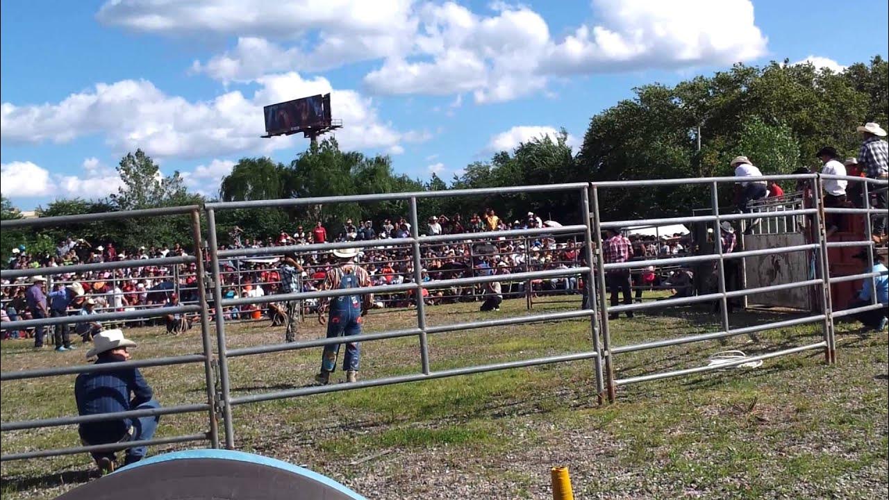 Jaripeo en passaic nj YouTube