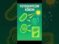 Fotosentezin Kökeni #fotosentez #evrim #kloroplast #biyoloji #bidunyabiyoloji #profdrbektastepe