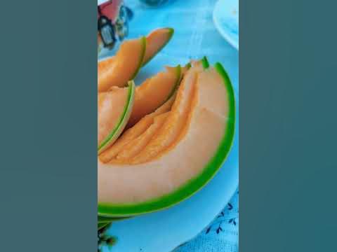 Дыня 🍈 сорт "Медовый месяц" #огород #участок #shortsvideo #узбекистан # ...