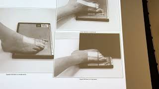 Martensen Chapter 6. Lower extremity part 1. Whole lot of errors made.