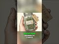 Small Plants, BIG Profits: Backyard Micro-Farming Secrets Revealed! #shorts