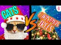 🎅🏻 Cats VS Christmas Trees | Furry Feline Facts 🎄x 😾= 💣