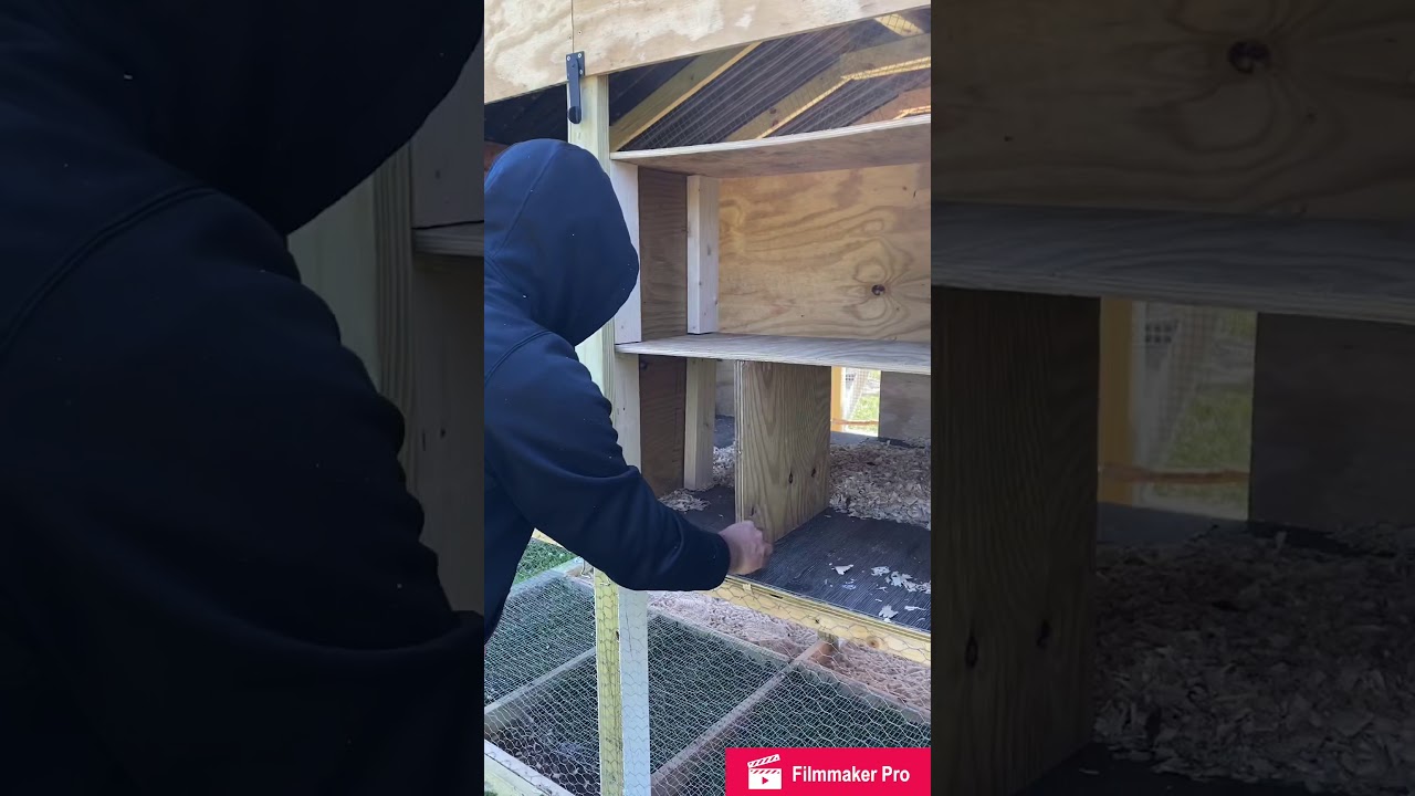 Nesting Boxes Coop update! YouTube