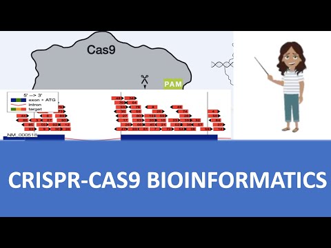 Video: En Modulär Verktygslåda För GRNA – Cas9 Genomteknik I Växter Baserad På GoldenBraid-standarden