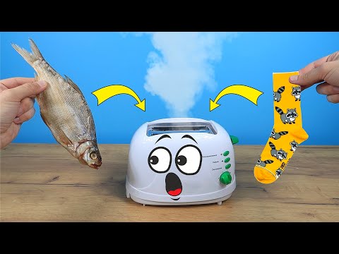 Бедный Тостер был в шоке от такого издевательства! - Alex Boyko