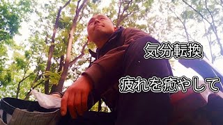 仙台の街散歩🏞定禅寺通り🍀カレー食べ歩き🍛アマゾンギフト紹介🙇‍♂️