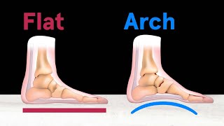 Every 'Useless' Body Part Explained From Head to Toe | WIRED