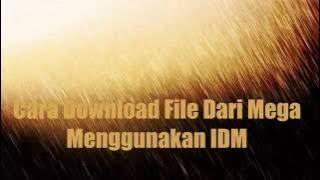 Cara Download Dari MEGA Using IDM