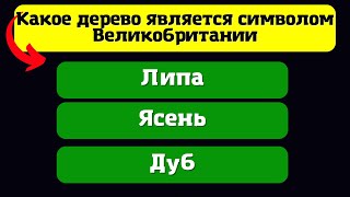 Тест на знания. 21 сложных вопросов на разные темы