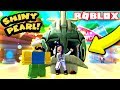 SHINY GIANT PEARL SECRET PET AND MEETING MAYRUSHART! | Roblox Bubble Gum Simulator