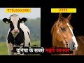 दुनिया के सबसे महंगे जानवर Most Expensive Animals in Hindi