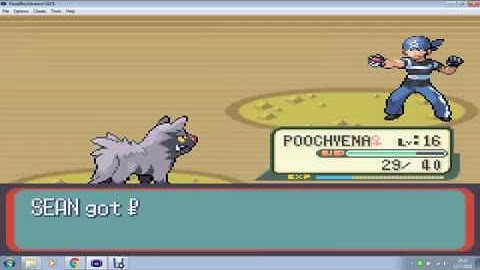 Pokemon Ruby/Sapphire Retrieving Devon Goods