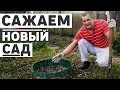 Сажаем новый плодовый сад на даче, 15 деревьев и кустарников. Первая посылка.