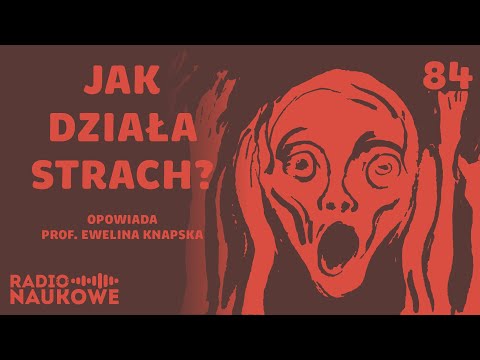 Strach, lęk, fobie – jak boi się mózg i czy można tym sterować? | prof. Ewelina Knapska