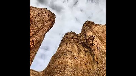 ( ومايستوي البحران ) تلاوة رائعة بصوت القارئ عبدالعزيز العسيري